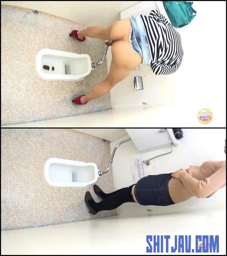 BFNS-05 Standing japanese girls shitting in toilet (2018/HD/1.14 GB) 074.1190_BFNS-05