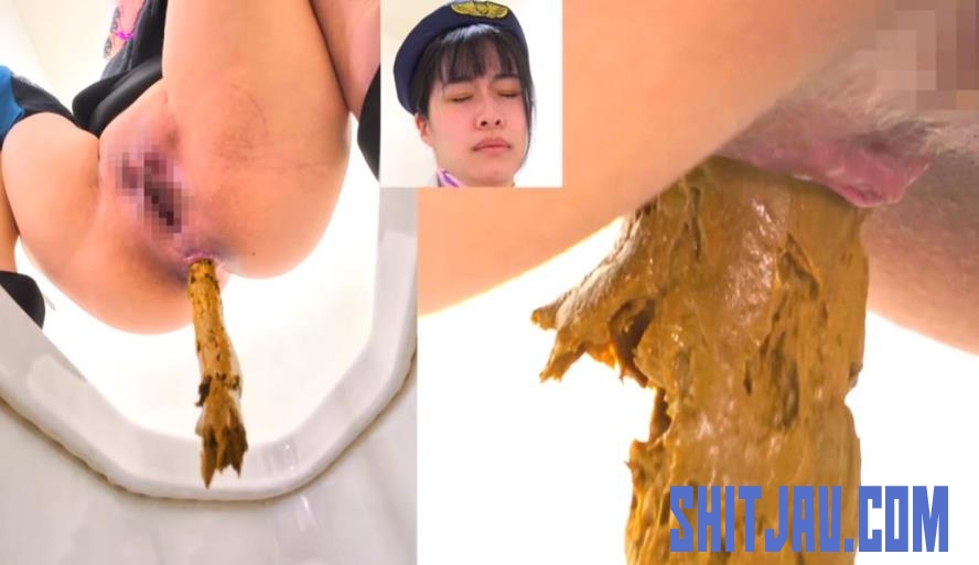 BFEE-301 Long Shit on Western and Japanese Style Toilets (2025/FullHD/487 MB) 1.5824_BFEE-301