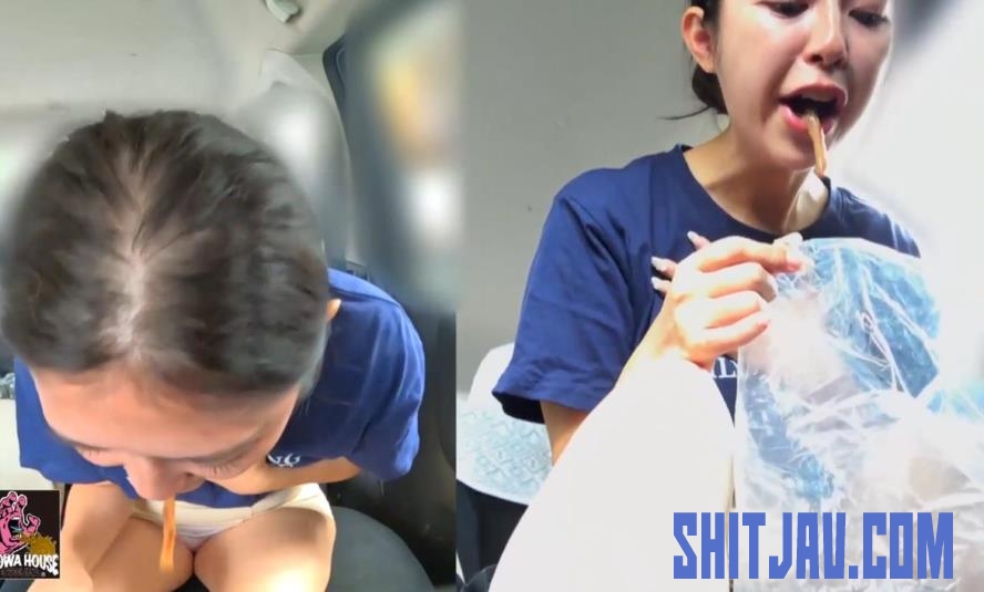 BFJV-176 Don’t Vomit in My Car 私の車の中で嘔吐しないでください (2025/FullHD/563 MB) 1.5877_BFJV-176