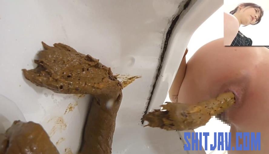 BFEE-320 洋式トイレと和式トイレでウンコする Long Shit Japanese Toilets (2026/FullHD/222 MB) 1.6099_BFEE-320